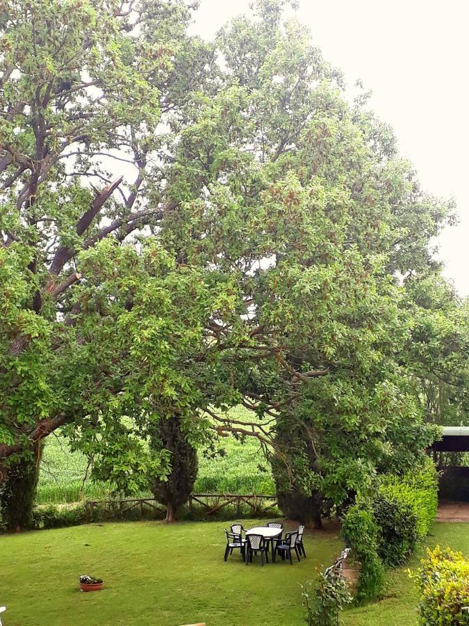 Agriturismo La Baroncella Montemerano Eksteriør billede