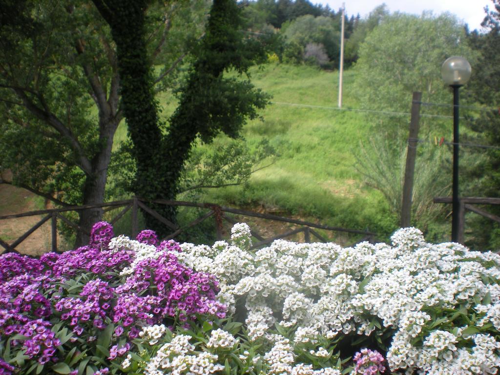 Agriturismo La Baroncella Montemerano Værelse billede